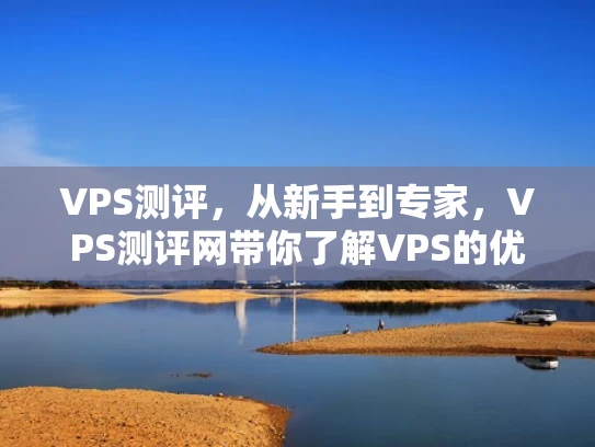 VPS测评，从新手到专家，VPS测评网带你了解VPS的优势与选择