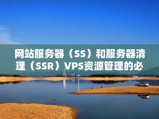 网站服务器（SS）和服务器清理（SSR）VPS资源管理的必备技能