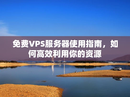 免费VPS服务器使用指南，如何高效利用你的资源