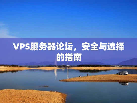 VPS服务器论坛，安全与选择的指南