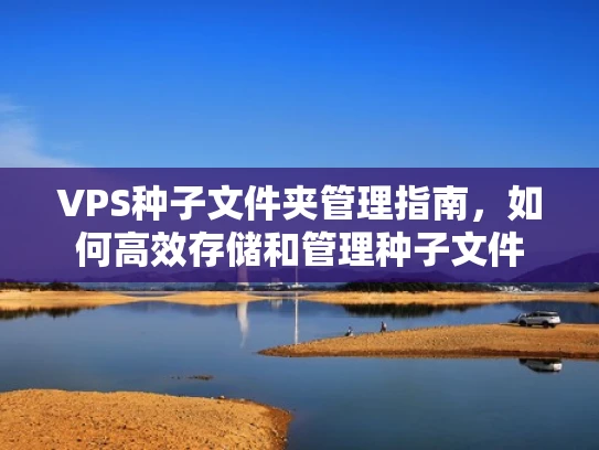 VPS种子文件夹管理指南，如何高效存储和管理种子文件