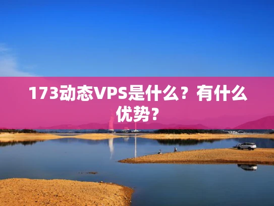 173动态VPS是什么？有什么优势？