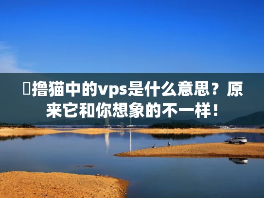 �撸猫中的vps是什么意思？原来它和你想象的不一样！