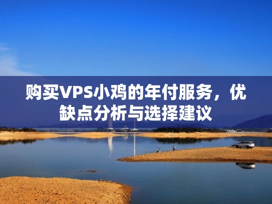 购买VPS小鸡的年付服务，优缺点分析与选择建议