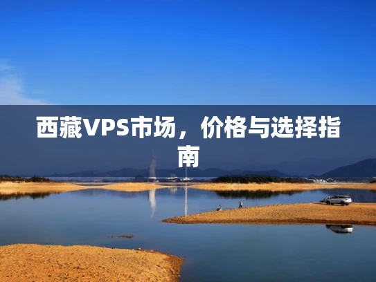 西藏VPS市场，价格与选择指南