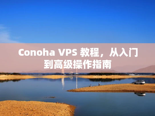 Conoha VPS 教程，从入门到高级操作指南