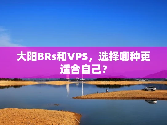 大阳BRs和VPS，选择哪种更适合自己？