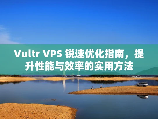 Vultr VPS 锐速优化指南，提升性能与效率的实用方法