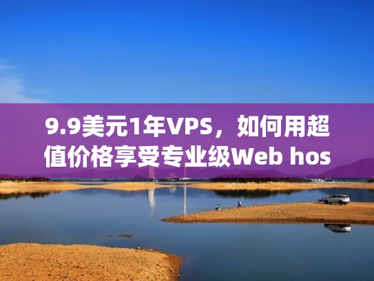 9.9美元1年VPS，如何用超值价格享受专业级Web hosting服务？