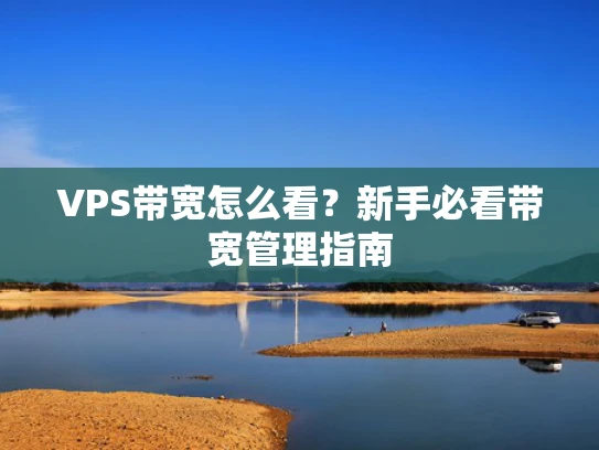 VPS带宽怎么看？新手必看带宽管理指南