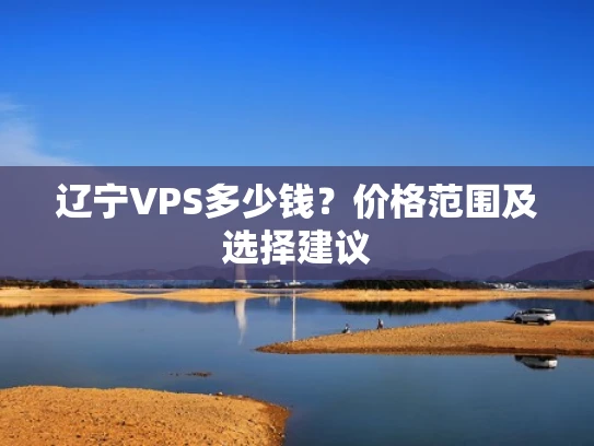 辽宁VPS多少钱？价格范围及选择建议