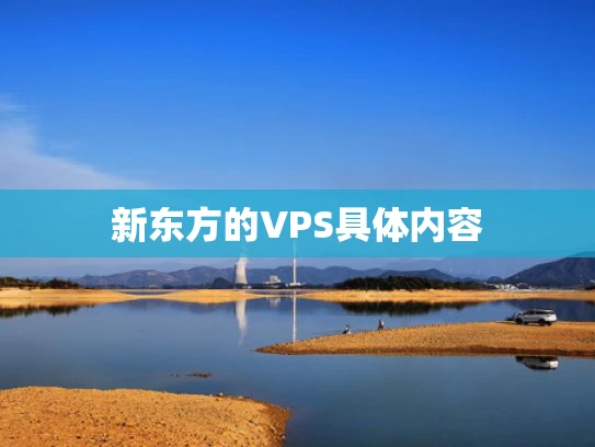 新东方的VPS具体内容