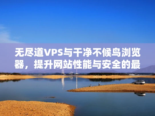 无尽道VPS与干净不候鸟浏览器，提升网站性能与安全的最佳选择