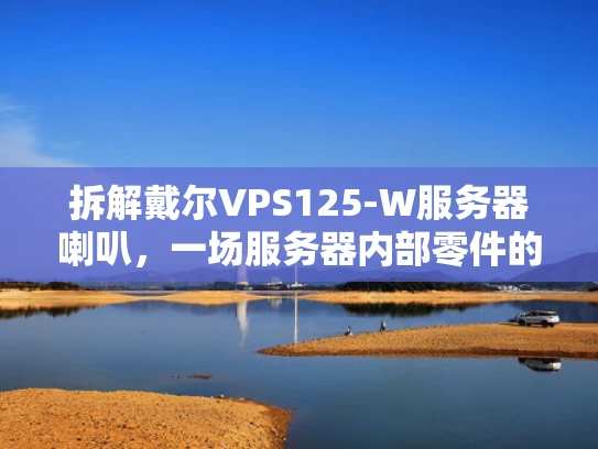 拆解戴尔VPS125-W服务器喇叭，一场服务器内部零件的冒险