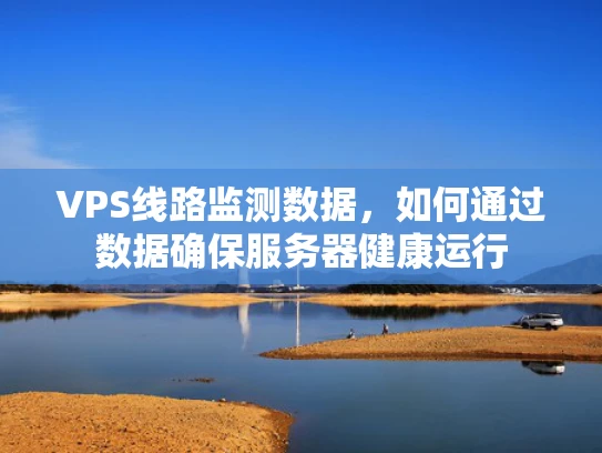 VPS线路监测数据，如何通过数据确保服务器健康运行