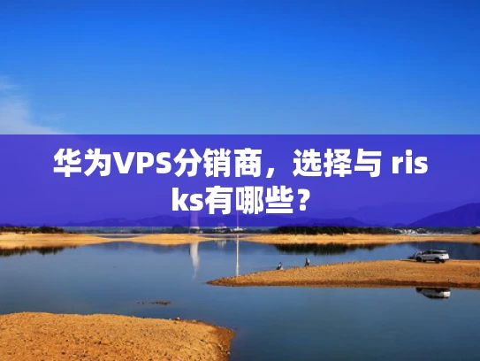 华为VPS分销商，选择与 risks有哪些？