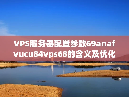 VPS服务器配置参数69anafvucu84vps68的含义及优化技巧