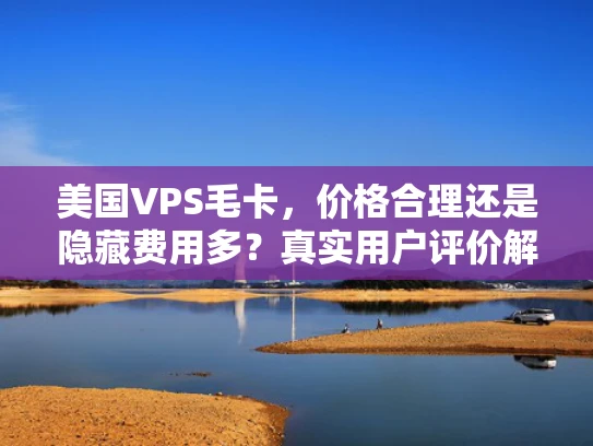 美国VPS毛卡，价格合理还是隐藏费用多？真实用户评价解析
