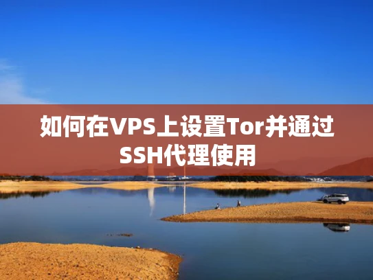 如何在VPS上设置Tor并通过SSH代理使用