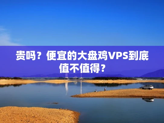 贵吗？便宜的大盘鸡VPS到底值不值得？