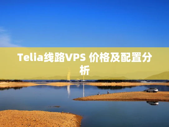 Telia线路VPS 价格及配置分析