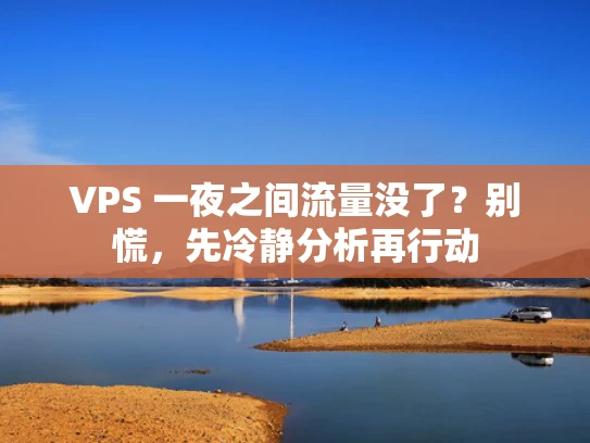 VPS 一夜之间流量没了？别慌，先冷静分析再行动
