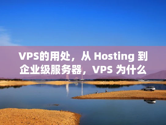 VPS的用处，从 Hosting 到企业级服务器，VPS 为什么值得选择？