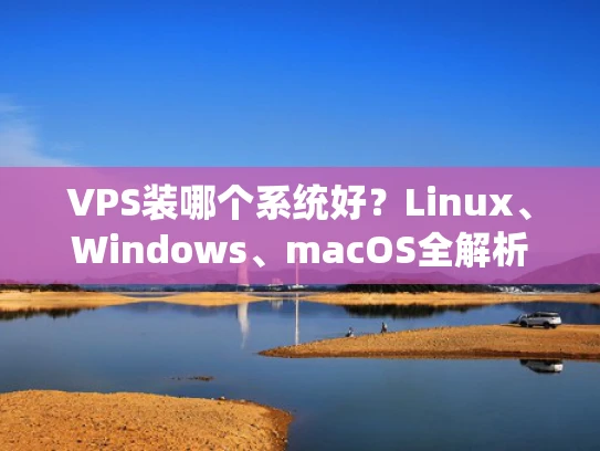 VPS装哪个系统好？Linux、Windows、macOS全解析