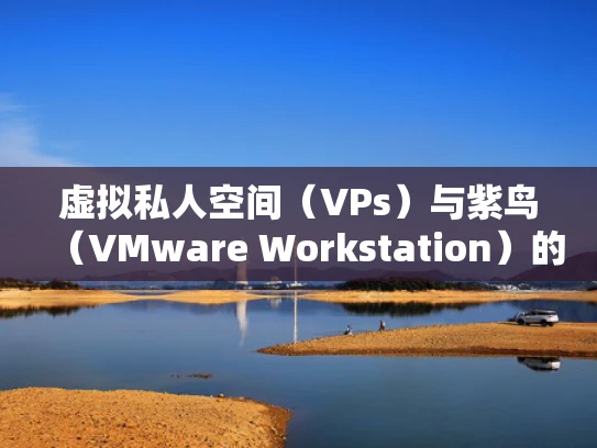 虚拟私人空间（VPs）与紫鸟（VMware Workstation）的绑定指南