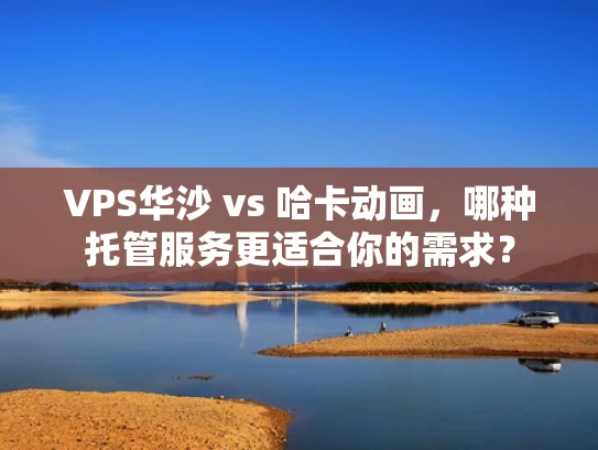 VPS华沙 vs 哈卡动画，哪种托管服务更适合你的需求？