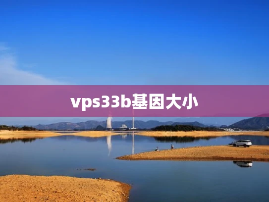vps33b基因大小