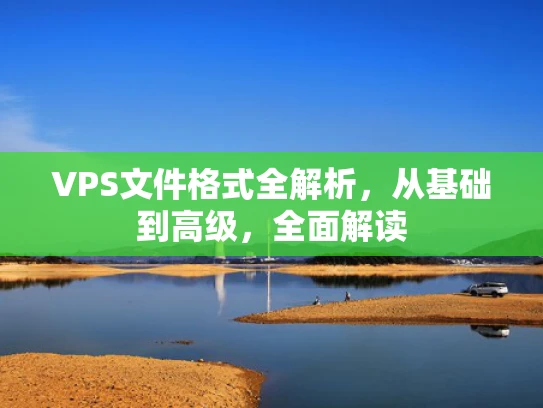 VPS文件格式全解析，从基础到高级，全面解读