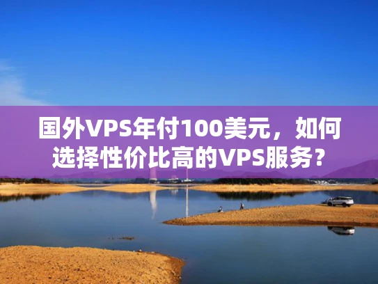 国外VPS年付100美元，如何选择性价比高的VPS服务？