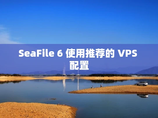 SeaFile 6 使用推荐的 VPS 配置