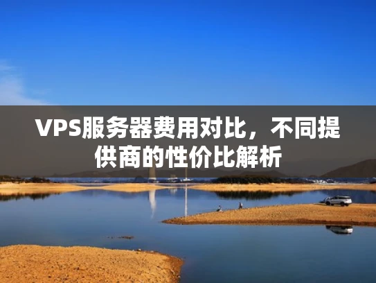 VPS服务器费用对比，不同提供商的性价比解析