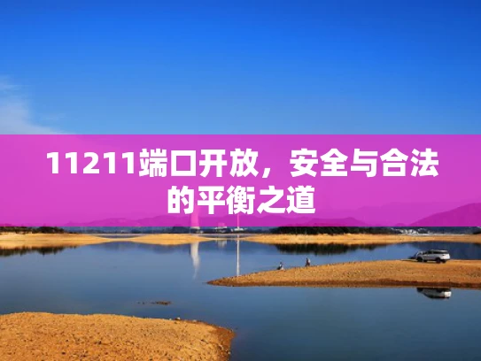 11211端口开放，安全与合法的平衡之道