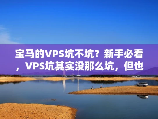 宝马的VPS坑不坑？新手必看，VPS坑其实没那么坑，但也不容忽视