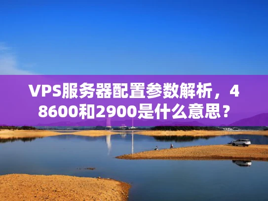VPS服务器配置参数解析，48600和2900是什么意思？