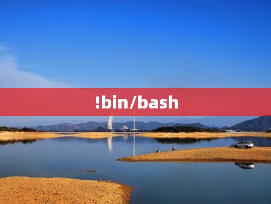 !bin/bash