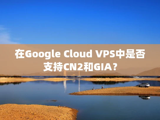 在Google Cloud VPS中是否支持CN2和GIA？