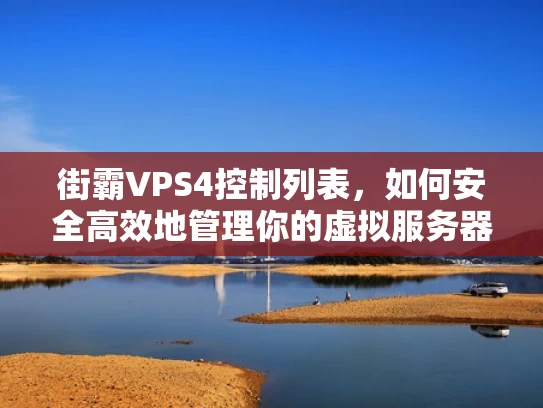 街霸VPS4控制列表，如何安全高效地管理你的虚拟服务器