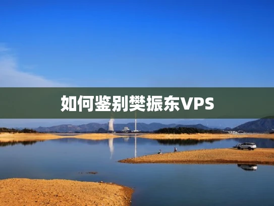 如何鉴别樊振东VPS