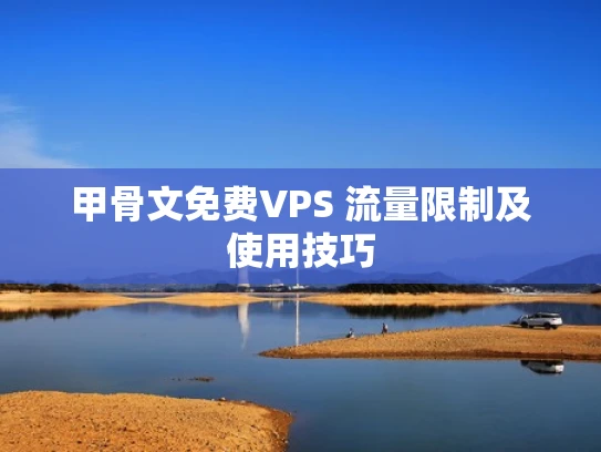 甲骨文免费VPS 流量限制及使用技巧