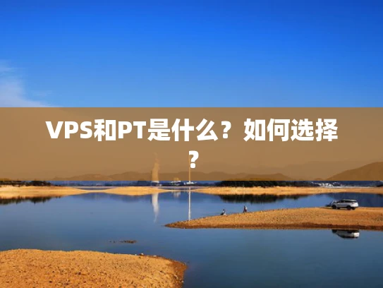 VPS和PT是什么？如何选择？