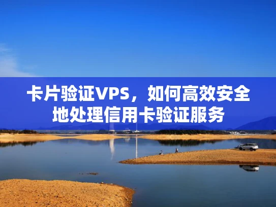 卡片验证VPS，如何高效安全地处理信用卡验证服务