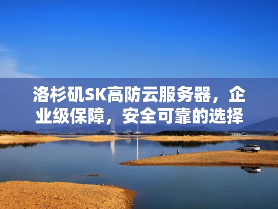 洛杉矶SK高防云服务器，企业级保障，安全可靠的选择