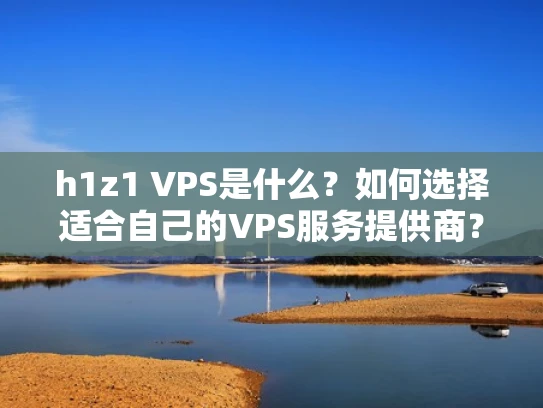 h1z1 VPS是什么？如何选择适合自己的VPS服务提供商？