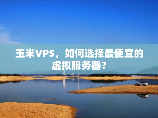 玉米VPS，如何选择最便宜的虚拟服务器？