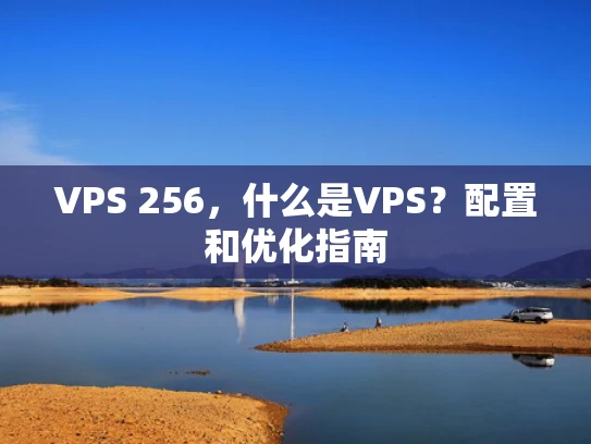 VPS 256，什么是VPS？配置和优化指南