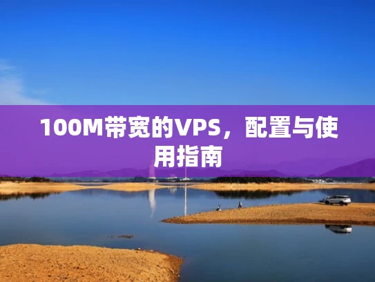 100M带宽的VPS，配置与使用指南